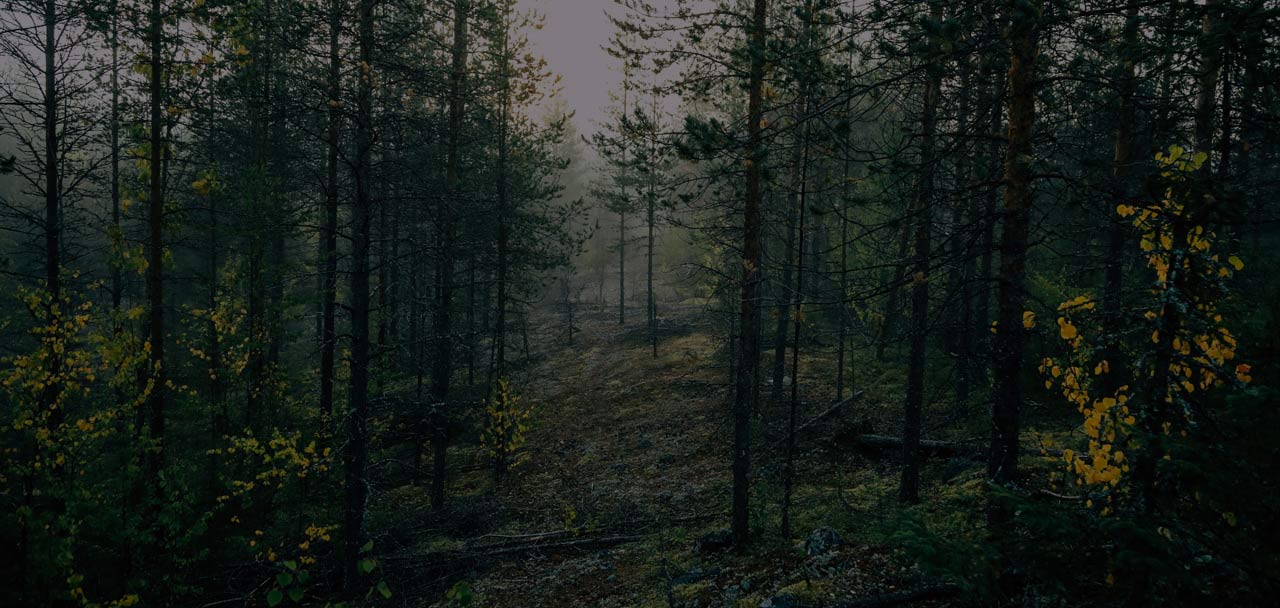 Lapland Fishing and Hunting Club