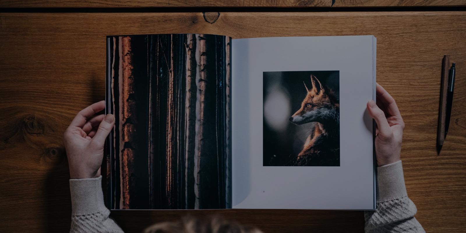 Animal Portraits